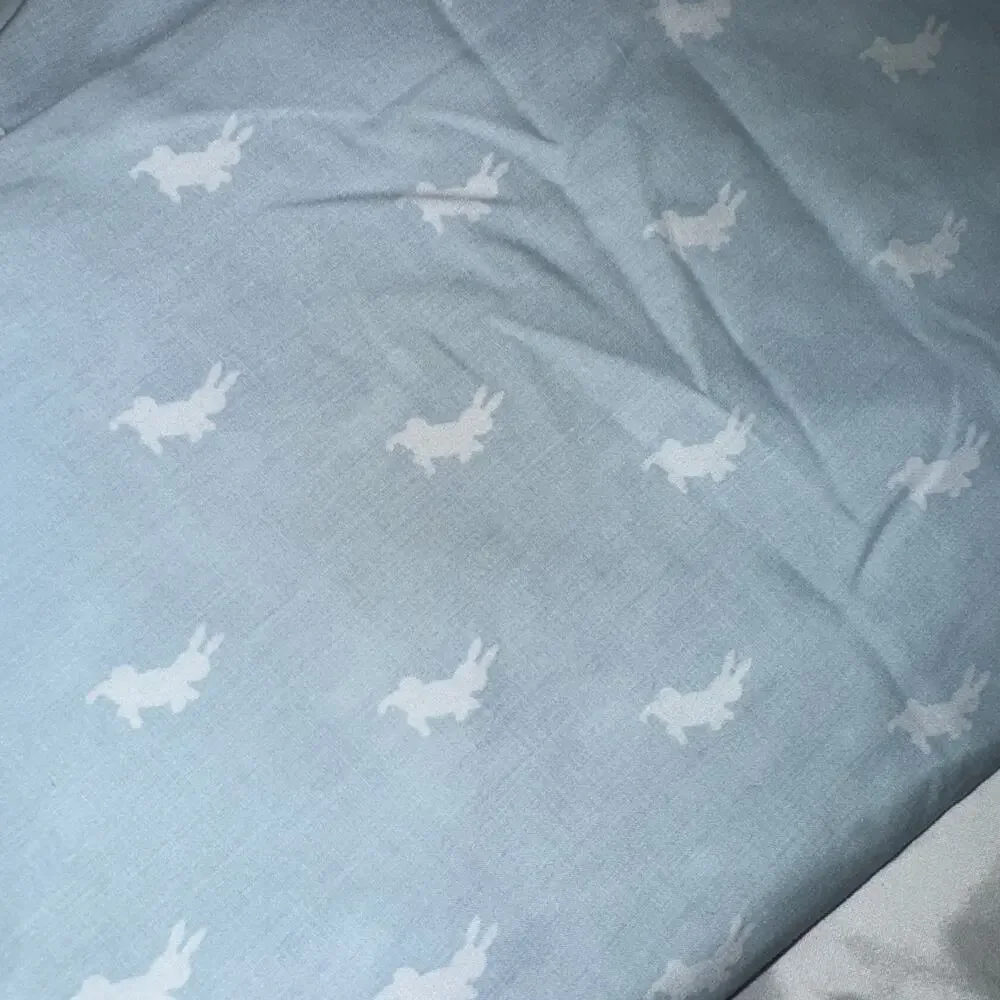 Rare Vintage Cannon Royal Family Beatrix Potter Peter Rabbit 3pc Twin Sheet Set